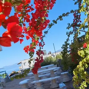 Leon Albania
